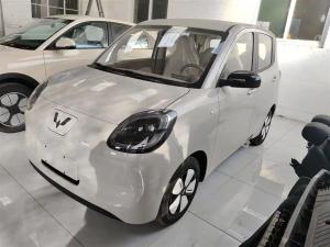 wuling hongguang mini ev 2025 Electric