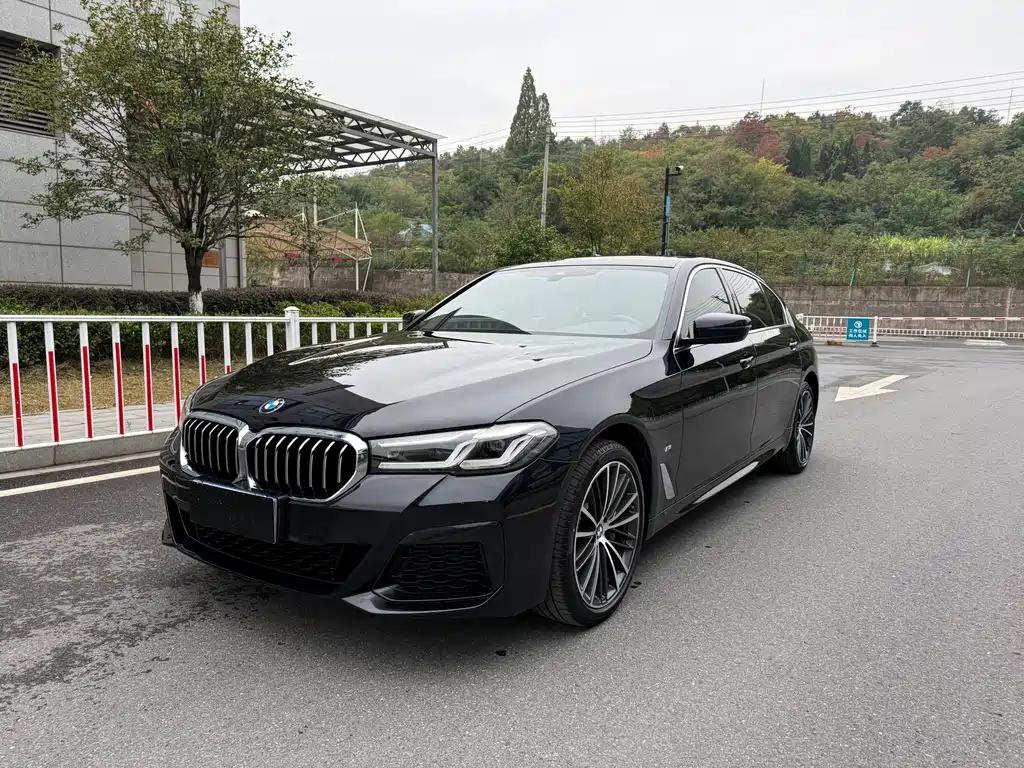 BMW 5 Series image 2