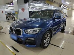 bmw x3 2019 Petrol