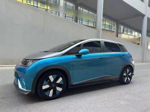 byd dolphin 2022 Electric