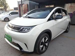 byd dolphin 2024 Electric