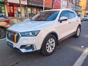 borgward bx5 2018 Petrol