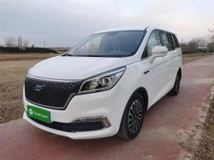 changan oshan cosmos 2021 Petrol