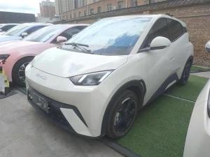 byd seagull 2024 Electric