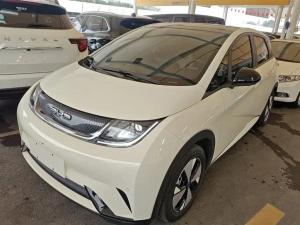 byd dolphin 2023 Electric