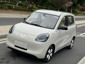wuling hongguang mini ev 2025 Electric