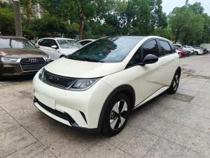 byd dolphin 2023 Electric