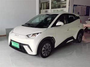 byd seagull 2024 Electric