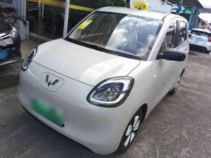 wuling hongguang mini ev 2025 Electric