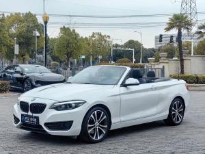 bmw 2 series 2020 Petrol