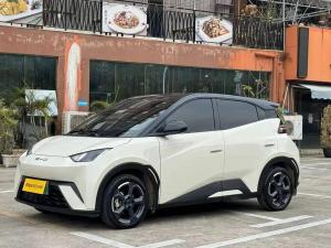 byd seagull 2024 Electric
