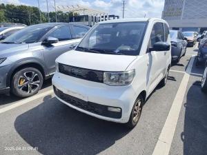 wuling hongguang mini ev 2021 Electric