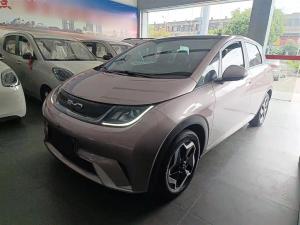 byd dolphin 2022 Electric